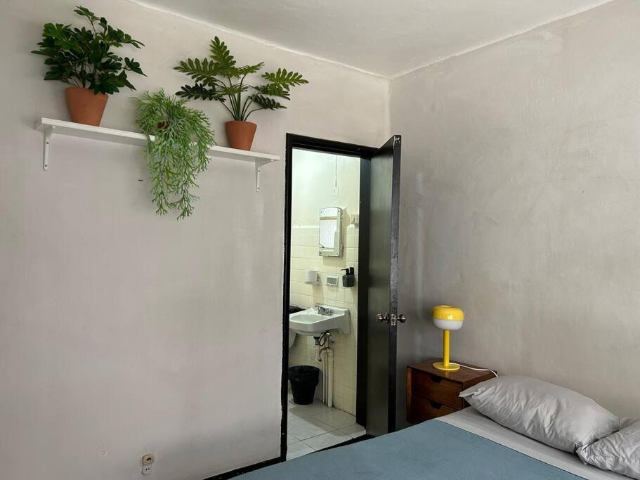 Ferienwohnung Cozy Roma Apt Heart Of The City Mexiko-Stadt Exterior foto